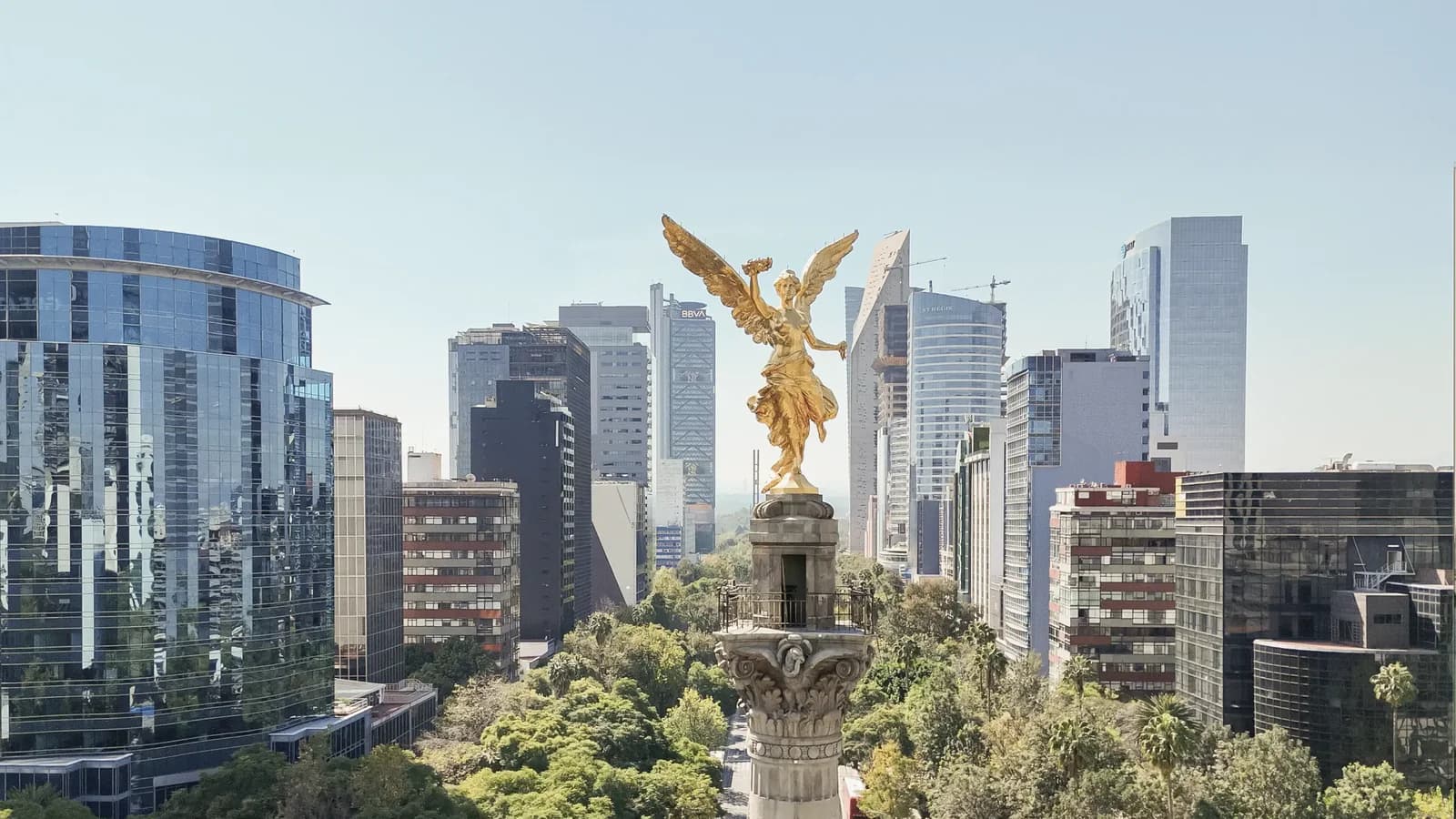 caso de éxito de seo