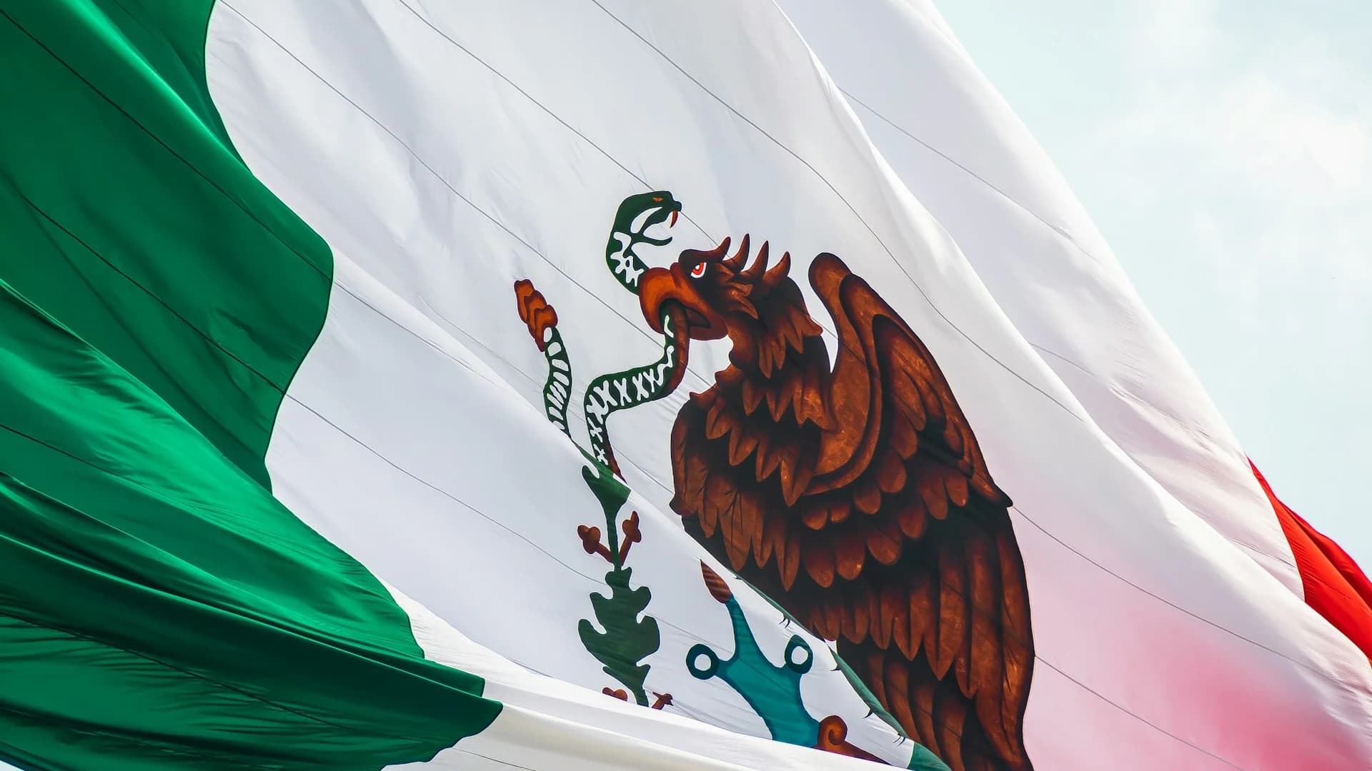 Posicionamiento web en México