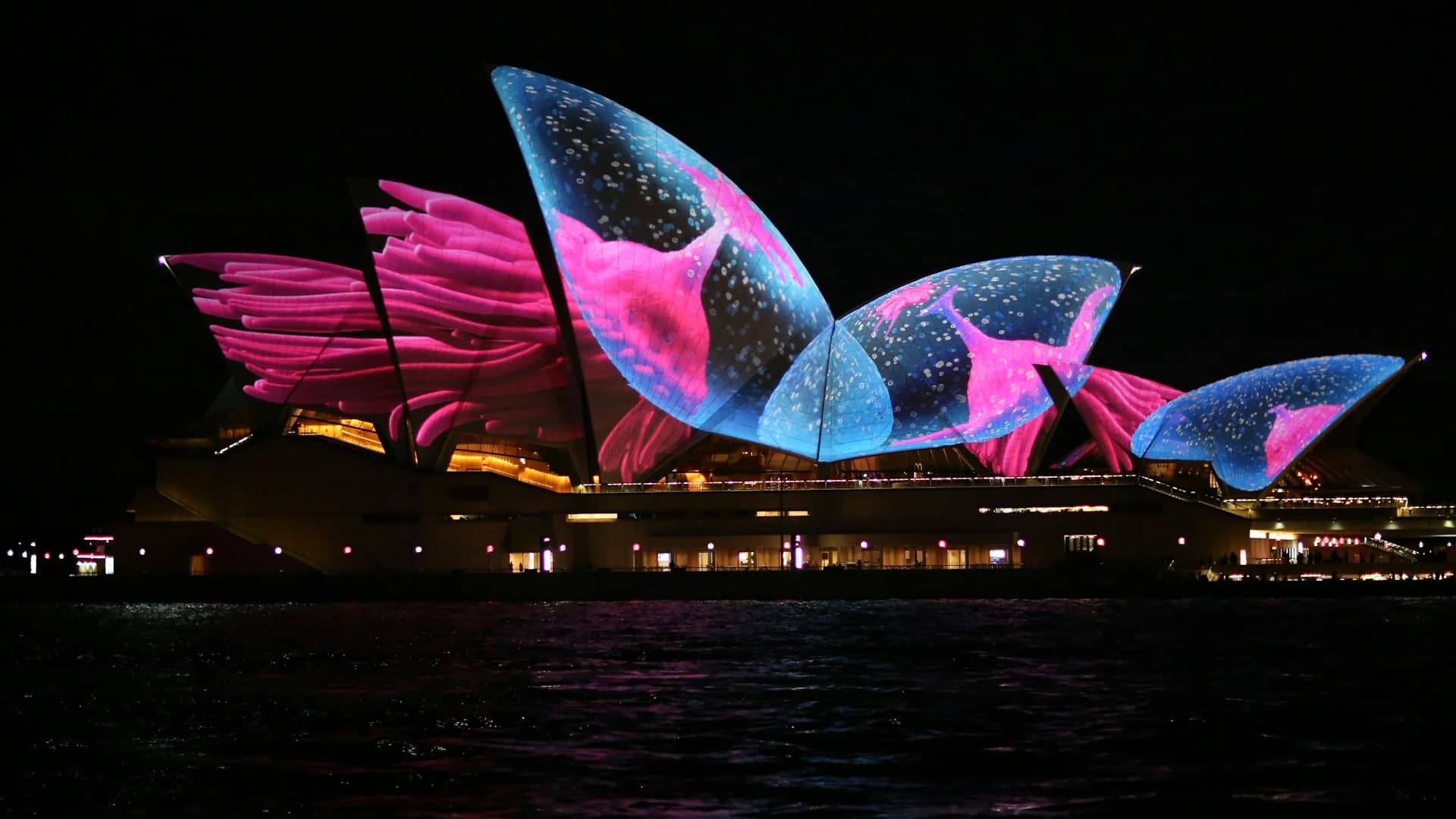 SEO services in Sydney