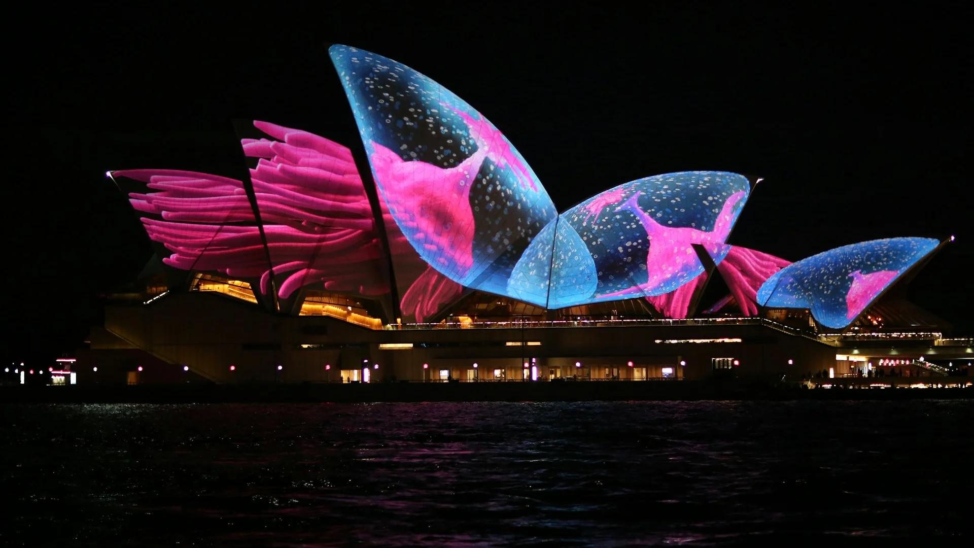 seo services in sydney